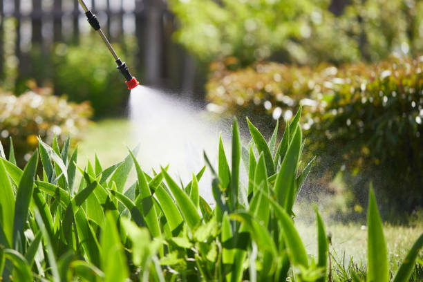24/7 Emergency Wasp Removal experts in Inverness, FL