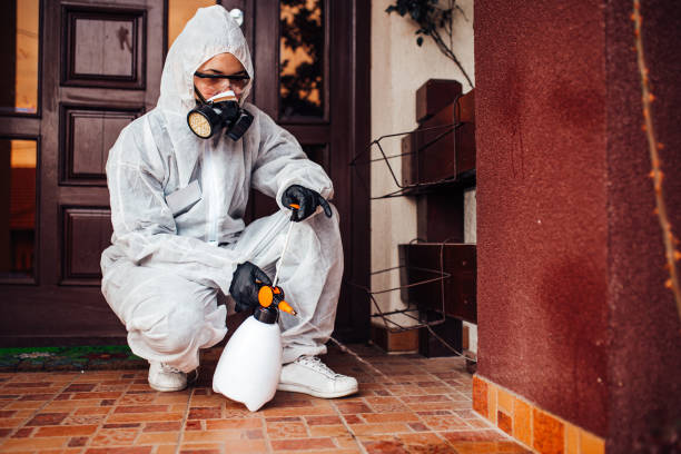 Reliable Wasp Removal contractor in Inverness, FL by Show Me Pest Control